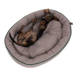 Cama Antibacteriana London Modern Living Para Perros -Ofertas Mascotas Tienda 274563 hundebett london fg 2761 6