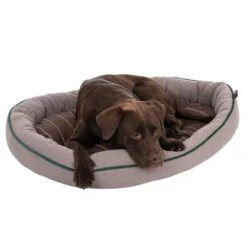 Cama Antibacteriana London Modern Living Para Perros -Ofertas Mascotas Tienda 274564 labrador fg 2881 0