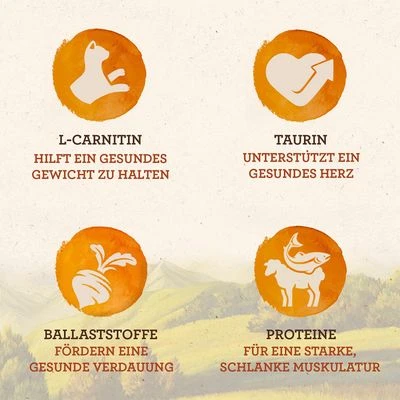 IAMS Naturally Senior - Imagen 2