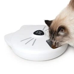 Comedero Automático Catit Pixi Smart 6-Meal 23 Comedero Automático Catit Pixi Smart 6-Meal -Ofertas Mascotas Tienda 287496 hagencontainer catit pixi smart 6meal futterautomat hs 11 2