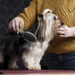 Cepillo De Doble Cara Moser Para Mascotas -Ofertas Mascotas Tienda 289796 moser beidseitige fellpflegebuerste hs 02 1