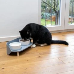 TIAKI Comedero Doble De Cerámica Para Mascotas -Ofertas Mascotas Tienda 302496 duo napf mit katze fg 0999 5