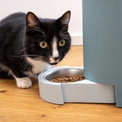 TIAKI Tolva Para Pienso Y Agua, Azul Claro Para Mascotas -Ofertas Mascotas Tienda 302496 duo napf mit katze fg 1019 0