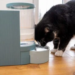 TIAKI Tolva Para Pienso Y Agua, Azul Claro Para Mascotas -Ofertas Mascotas Tienda 302496 duo napf mit katze fg 1028 7