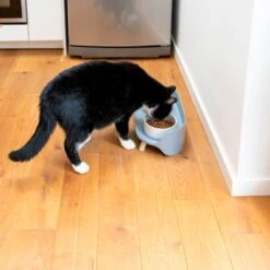 TIAKI Comedero Doble De Cerámica Para Mascotas -Ofertas Mascotas Tienda 302496 tiaki keramiknapf duo 9