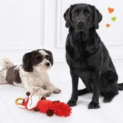 Doglove Zorro De Juguete Para Perros 10 Doglove Zorro De Juguete Para Perros -Ofertas Mascotas Tienda 303196 edupet doglove hundespielzeug fuchs hs 05 9