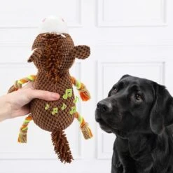 Doglove Caballo De Juguete Para Perros -Ofertas Mascotas Tienda 303597 edupet doglove hundespielzeug pferd hs 03 7