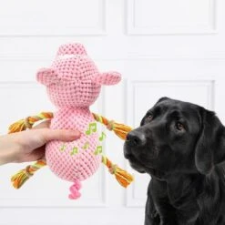 Doglove Cerdito De Juguete Para Perros -Ofertas Mascotas Tienda 303598 edupet doglove hundespielzeug pferd hs 03 7