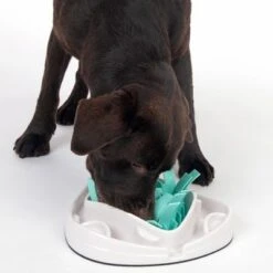 TIAKI Grass Slow Feeder Juguete De Inteligencia Para Perros -Ofertas Mascotas Tienda 304297 tiaki dog grass slow feeder fg 1834 7