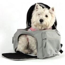 Trasportín Mochila Sightseeing -Ofertas Mascotas Tienda 305015 will rucksack 7490 03 2013 8
