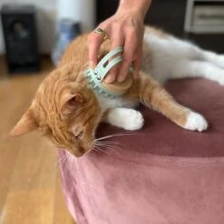 Kooa Cepillo Masajeador Para Gatos -Ofertas Mascotas Tienda 309896 kooa massageb rste f r katzen hs 06 0