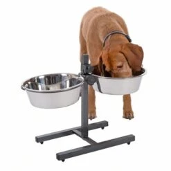 Soporte Ajustable Con 2 Comederos Incluidos -Ofertas Mascotas Tienda 313523 kumar hundebar inklusive 2 edelstahln pfe 03 dsc5878 8