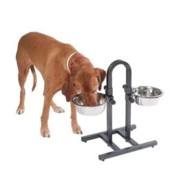 Soporte Ajustable Con Dos Comederos De 1,6 L -Ofertas Mascotas Tienda 313525 u hundebar 05 dsc9197 9