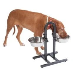 Soporte Ajustable Con Dos Comederos De 1,6 L -Ofertas Mascotas Tienda 313525 u hundebar 06 dsc9199 3