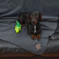 Manta TIAKI Nelly Para Mascotas -Ofertas Mascotas Tienda 317312 tiaki nelly fg 6059 3