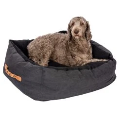 Cama Modern Living Espoo Para Perros -Ofertas Mascotas Tienda 318296 mit labradoodel fg 5491 9