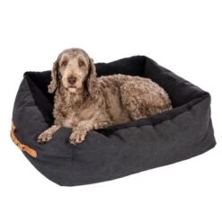 Cama Modern Living Espoo Para Perros -Ofertas Mascotas Tienda 318296 mit labradoodel fg 5495 6