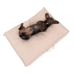 Colchón TIAKI Memory Foam Beige Para Perros -Ofertas Mascotas Tienda 318697 tiaki hundematratze beige fg 5024 1