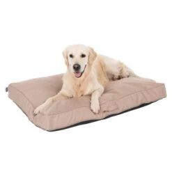 Colchón TIAKI Memory Foam Beige Para Perros -Ofertas Mascotas Tienda 318698 mit hund fg 5093 8