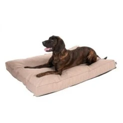 Colchón TIAKI Memory Foam Beige Para Perros -Ofertas Mascotas Tienda 318699 mit hund fg 5104 1