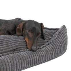 Cama Modern Living Helena Para Perros 39 Cama Modern Living Helena Para Perros -Ofertas Mascotas Tienda 320397 hundebett helena grau fg 2233 5