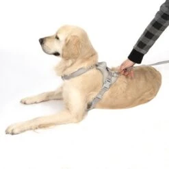 Arnés TIAKI Neoprene Gris Para Perros -Ofertas Mascotas Tienda 323033 neoprene geschirr l fg 1703 5