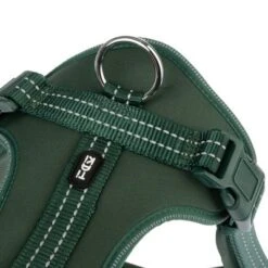 Arnés TIAKI Neoprene Verde Para Perros -Ofertas Mascotas Tienda 323698 neoprene geschirr xl fg 1526 4