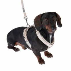 Arnés Nomad Tales Blush Beige Topo Para Perros -Ofertas Mascotas Tienda 323796 325296 blush s fg 6920 9