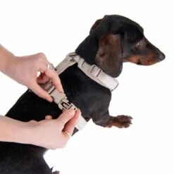 Arnés Nomad Tales Blush Beige Topo Para Perros -Ofertas Mascotas Tienda 323796 blush s fg 6905 5