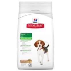 Hill's Science Plan Hill's Puppy <1 Medium Science Plan Con Cordero Y Arroz -Ofertas Mascotas Tienda 32390 pla hill s caninepuppy lambrice 3