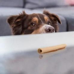 SmartBones Palitos Enrollados Con Pollo Para Perros -Ofertas Mascotas Tienda 324401 smartsticks wrapped kausticks huhn stck hs 04 8