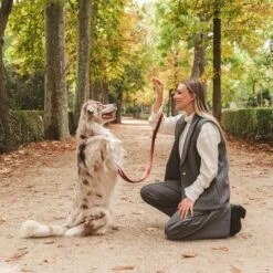 Correa Nomad Tales Blush Vino Para Perros -Ofertas Mascotas Tienda 325600 325601 nomadtales blush hundeleine rose hs 07 4