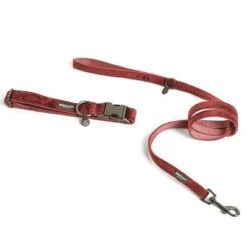 Correa Nomad Tales Blush Vino Para Perros -Ofertas Mascotas Tienda 325600 325601 pla nomadtales blush hundeleine rose hs 01 0