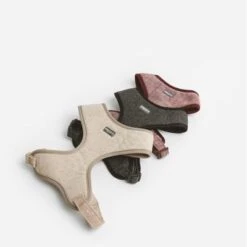 Arnés Nomad Tales Calma Burdeos Para Perros 30 Arnés Nomad Tales Calma Burdeos Para Perros -Ofertas Mascotas Tienda 325796 nomad tales calma ebony 05 5