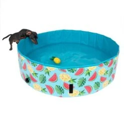 Piscina Para Perros TIAKI Con Cubierta -Ofertas Mascotas Tienda 326696 floating pineapple fg 6641 9