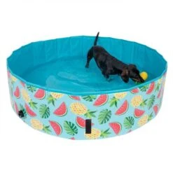 Piscina Para Perros TIAKI Con Cubierta -Ofertas Mascotas Tienda 326696 floating pineapple fg 6648 6