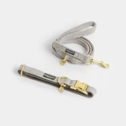 Correa Nomad Tales Calma Piedra Para Perros -Ofertas Mascotas Tienda 326806 326197 nomad tales calma halsband stone 01 7 1