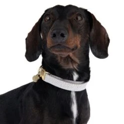 Collar Nomad Tales Calma Piedra Para Perros 18 Collar Nomad Tales Calma Piedra Para Perros -Ofertas Mascotas Tienda 326807 calma m fg 7321 6