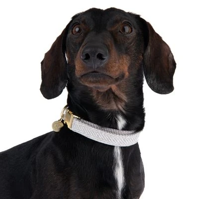 Collar Nomad Tales Calma Piedra Para Perros 5 Collar Nomad Tales Calma Piedra Para Perros - Imagen 5