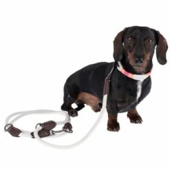 Collar Nomad Tales Spirit Piedra Para Perros -Ofertas Mascotas Tienda 329197 329397 spirit xs fg 7690 3