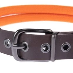 Collar Nomad Tales Spirit Mandarina Para Perros -Ofertas Mascotas Tienda 329297 nomad tales spirit leinen halsbaender fg 1754 8