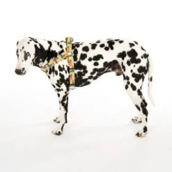 Arnés TIAKI Easy Care Para Perros -Ofertas Mascotas Tienda 332204 easy care geschirr l fg 0477 0