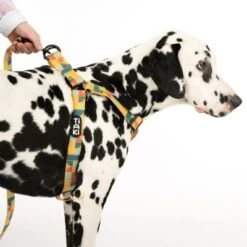 Arnés TIAKI Easy Care Para Perros -Ofertas Mascotas Tienda 332204 easy care geschirr l fg 0490 7