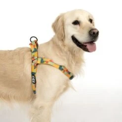 Arnés TIAKI Easy Care Para Perros -Ofertas Mascotas Tienda 332204 easy care geschirr l fg 1749 9