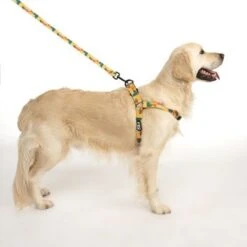 Arnés TIAKI Easy Care Para Perros -Ofertas Mascotas Tienda 332204 easy care geschirr l fg 1755 2