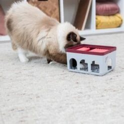 Trixie Cat Activity Rod Box Juego De Inteligencia Para Gatos -Ofertas Mascotas Tienda 332214 trixie cat activity rod box hs 09 1