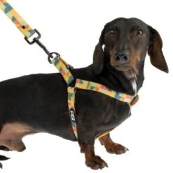 Arnés TIAKI Easy Care Para Perros -Ofertas Mascotas Tienda 332296 easy care geschirr xl fg 1462 9