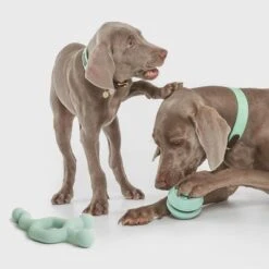 Pelota Portasnacks Nomad Tales Bloom Snack Roller Juguete Para Perros -Ofertas Mascotas Tienda 333015 nomad tales snack ball 01 4