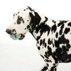 Pelota Portasnacks Nomad Tales Bloom Snack Roller Juguete Para Perros -Ofertas Mascotas Tienda 333015 rolling snack roll fg 0570 7