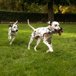 Cuerdas Varias Nomad Tales Spirit Multirope Juguete Para Perros -Ofertas Mascotas Tienda 333098 nomad tales spirit multirope hs 02 8